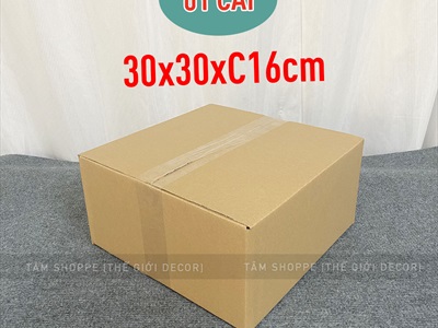 Hộp giấy carton làm hộp quà giáng sinh [Cứng cáp - nhiều cỡ] HOPDUNGQUA-02
