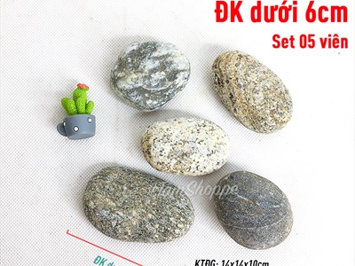 Viên đá cuội tự nhiên Decor - chặn giấy - kỳ lưng SOIDA-01