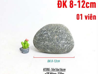 Viên đá cuội tự nhiên Decor - chặn giấy - kỳ lưng SOIDA-01