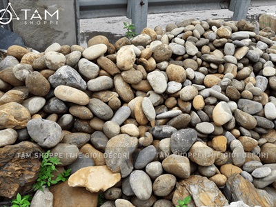 Viên đá cuội tự nhiên Decor - chặn giấy - kỳ lưng SOIDA-01