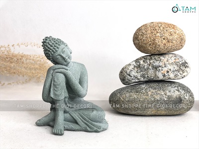 Viên đá cuội tự nhiên Decor - chặn giấy - kỳ lưng SOIDA-01