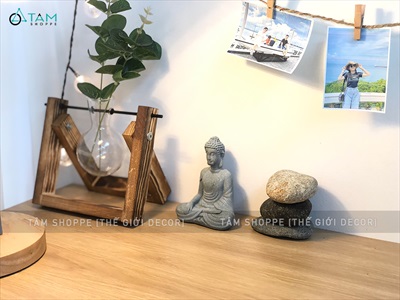 Viên đá cuội tự nhiên Decor - chặn giấy - kỳ lưng SOIDA-01