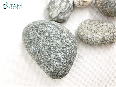 Viên đá cuội tự nhiên Decor - chặn giấy - kỳ lưng SOIDA-01