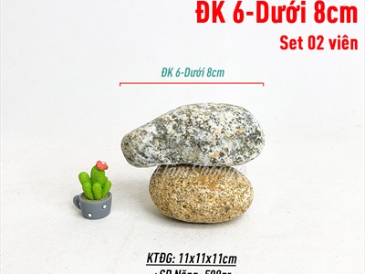 Viên đá cuội tự nhiên Decor - chặn giấy - kỳ lưng SOIDA-01
