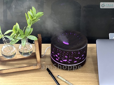 Tinh dầu Sả Cam nguyên chất Refresh Scentastic