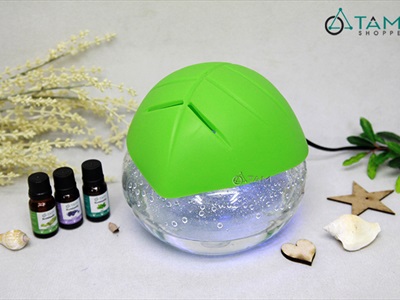 Combo TD02: Bộ 3 chai tinh dầu thiên nhiên 10ml ‪SCENTASTIC [ Tặng hộp gỗ ]