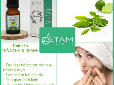 Tinh dầu trà xanh và chanh (Green tea & Lime) SCENTASTIC