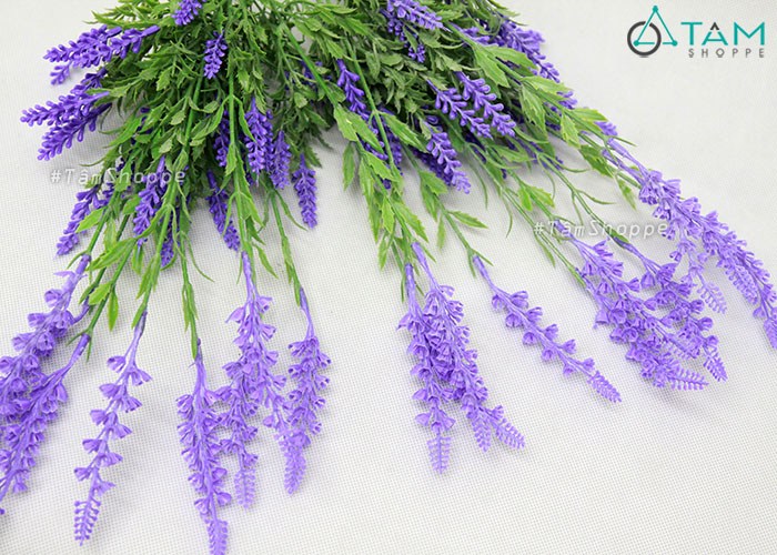 canh-hoa-lavender-gia-2-tang-nhua