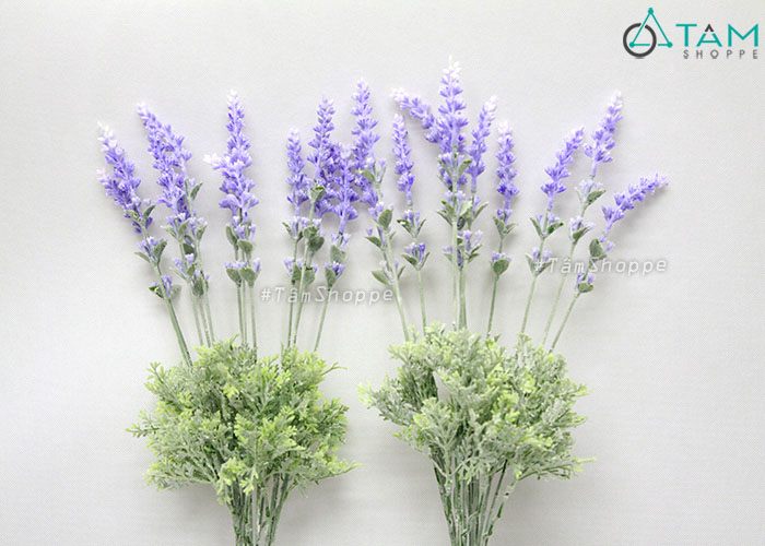 canh-hoa-lavender-gia-2-tang-phu-bui