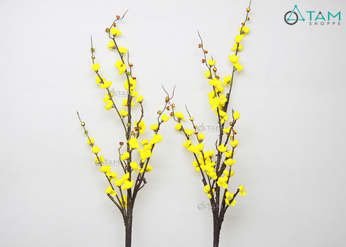 Decor hoa mai: Decor hoa mai là một ý tưởng sáng tạo và độc đáo để tô điểm cho không gian sống. Hãy xem những ý tưởng decor hoa mai độc đáo và sáng tạo này để biến mọi góc cửa nhà bạn trở nên đẹp và ấn tượng hơn.